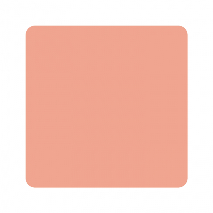 Eternal Ink - Muted Earth Tones - Peachy Flesh - 30ml