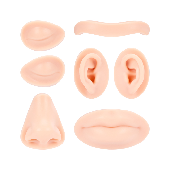 A Pound of Flesh - Replaceable Parts for Tattoo, PMU and Piercing Head - Fitzpatrick Tone 2