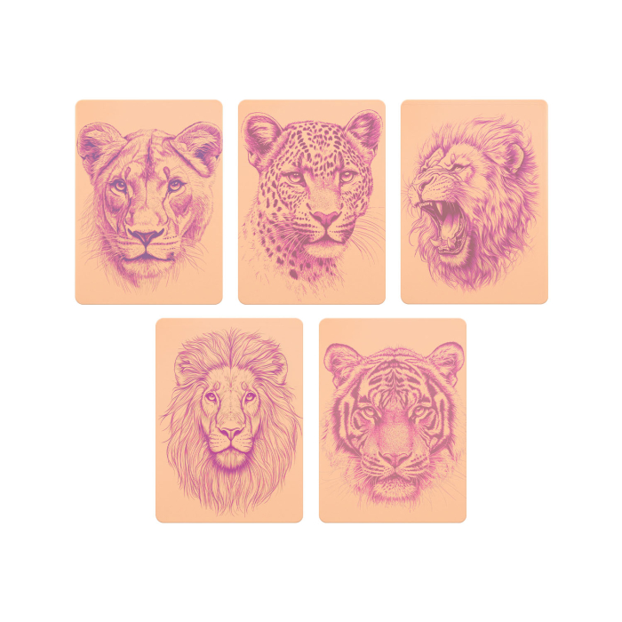 Set of 5 Stencil Skins® Pre-printed Designs - Extra Soft