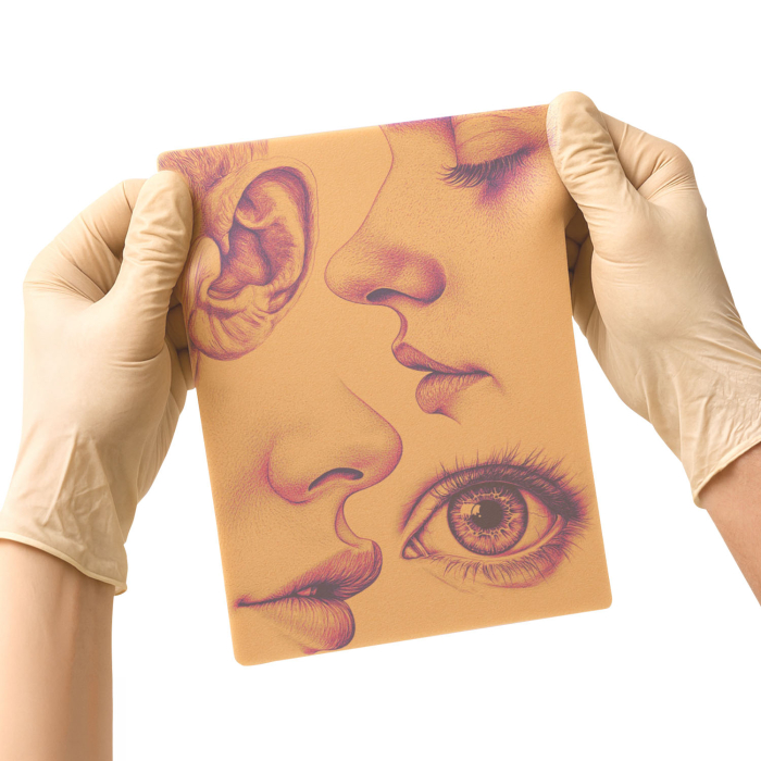 Set of 5 Stencil Skins® Pre-printed Designs - Original